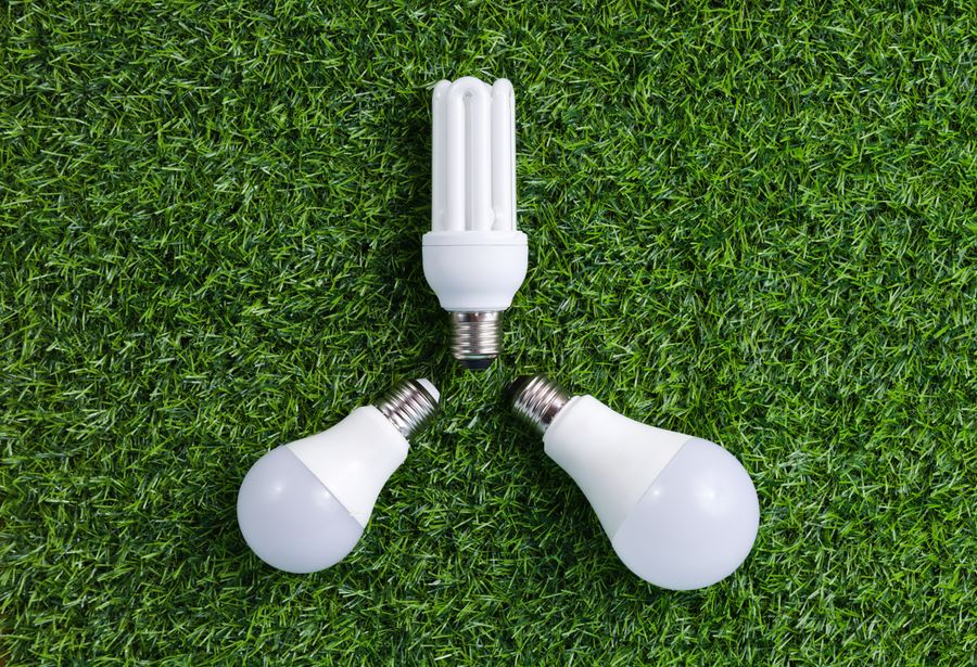 Lampadine a risparmio energetico e LED su un prato